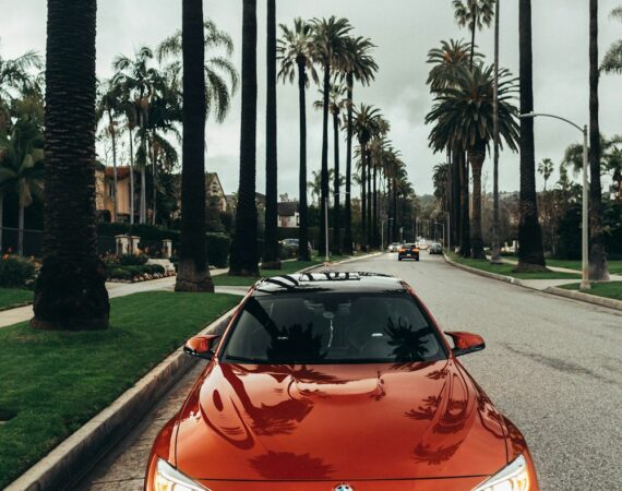 photo 1549399542 7e3f8b79c341