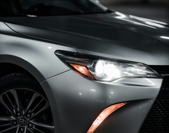 photo 1584761682699 77eeb2281984