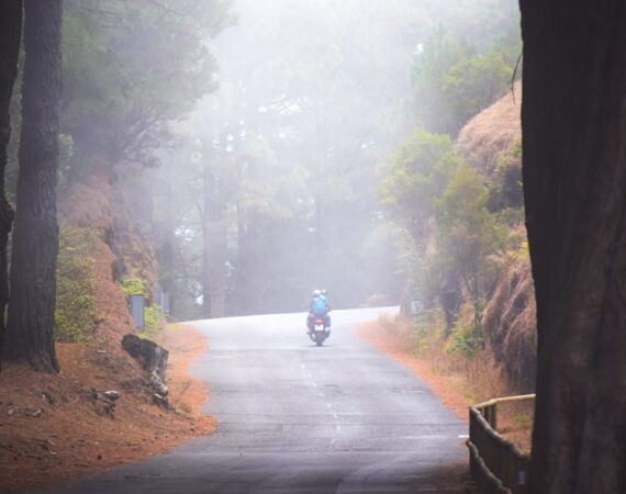 photo 1623438541965 9279d848c94a