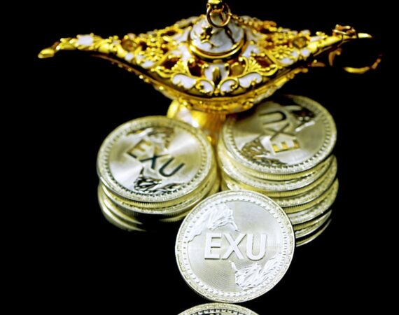 photo 1626679530248 06907d7349be