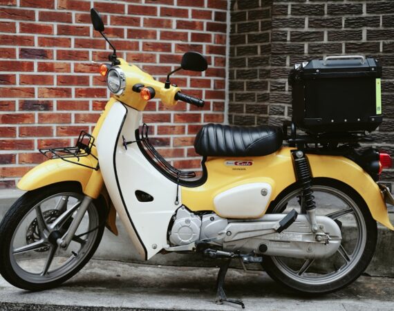 photo 1595167543180 e7894b577443