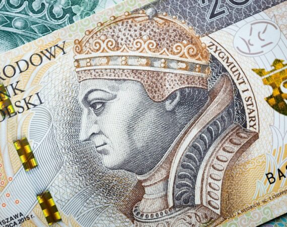 photo 1623911380537 730d0e2403bd